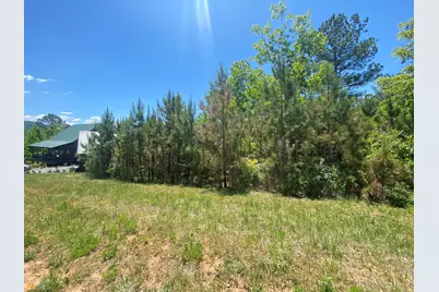 Lt 55 Village Loop, Blairsville, GA 30512 - Photo 3