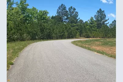 Lt 55 Village Loop, Blairsville, GA 30512 - Photo 9