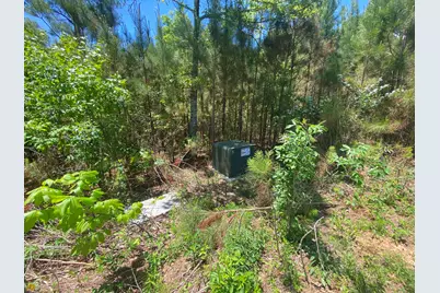 Lt 55 Village Loop, Blairsville, GA 30512 - Photo 5