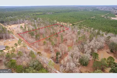 Tract 2 Loggan Lane, Jesup, GA 31546 - Photo 1