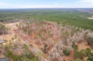 Tract 2 Loggan Ln, Jesup, GA 31546 - Photo 1