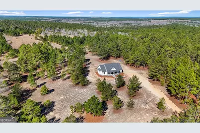 115 Watermelon Lane, Mauk, GA 31058 - Photo 39