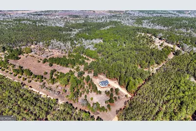 115 Watermelon Lane, Mauk, GA 31058 - Photo 45