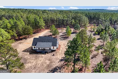 115 Watermelon Lane, Mauk, GA 31058 - Photo 41