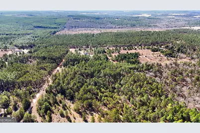 115 Watermelon Lane, Mauk, GA 31058 - Photo 49