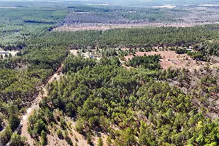 115 Watermelon Ln, Mauk, GA 31058 - Photo 49