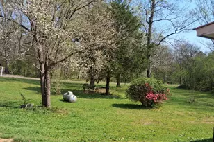 161 Meadowbrooke Ln, Summerville, GA 30747 - Photo 11