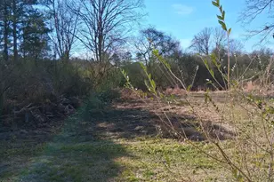 161 Meadowbrooke Ln, Summerville, GA 30747 - Photo 7