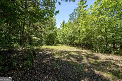 Lot 36 Marshall Road, Buckhead, GA 30625 - Photo 7