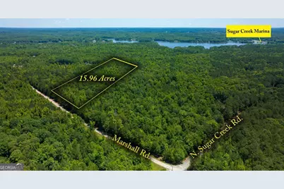 Lot 36 Marshall Road, Buckhead, GA 30625 - Photo 1