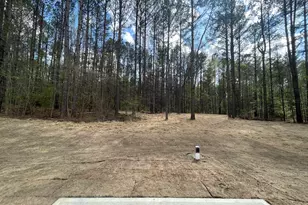 287 Rocker Rd, Greenville, GA 30222 - Photo 7