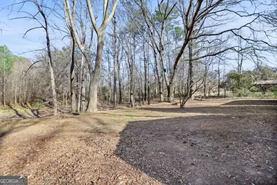 890 Earl North Road, Newnan, GA 30263 - Photo 57