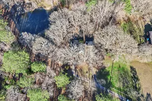 890 Earl North Rd, Newnan, GA 30263 - Photo 63