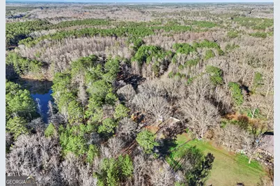 890 Earl North Road, Newnan, GA 30263 - Photo 61