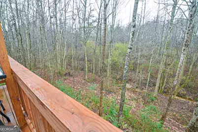 731 Dawn Place, Alto, GA 30510 - Photo 53