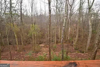 731 Dawn Place, Alto, GA 30510 - Photo 51