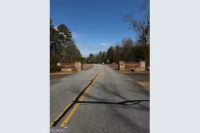 260 Ancient Oaks Lane, Newnan, GA 30263 - Photo 69