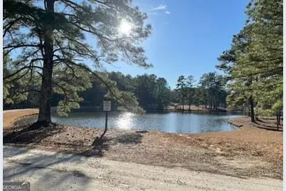 260 Ancient Oaks Lane, Newnan, GA 30263 - Photo 63