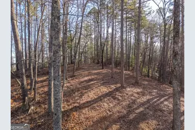 1665 Hunter Drive #42, Talking Rock, GA 30175 - Photo 5