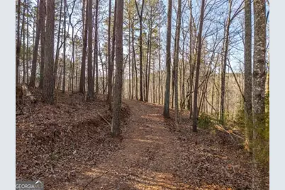 1665 Hunter Drive #42, Talking Rock, GA 30175 - Photo 3