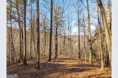 1665 Hunter Drive #42, Talking Rock, GA 30175 - Photo 1