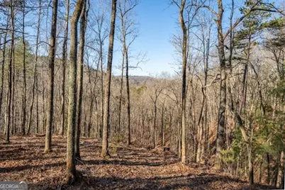 1665 Hunter Drive #42, Talking Rock, GA 30175 - Photo 7