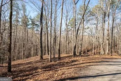 1884 Finale Street, Talking Rock, GA 30175 - Photo 9
