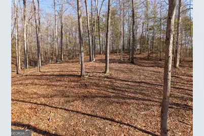 1884 Finale Street, Talking Rock, GA 30175 - Photo 3