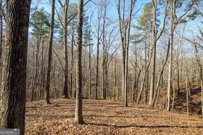 1884 Finale Street, Talking Rock, GA 30175 - Photo 7