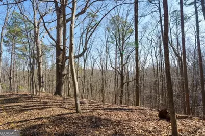 1110 Mayfield Lane, Ranger, GA 30734 - Photo 9