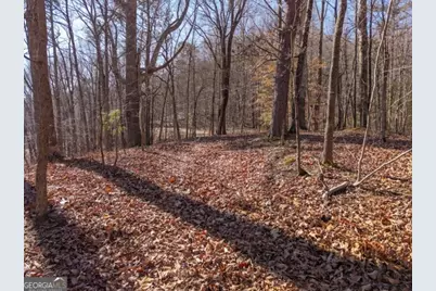 1110 Mayfield Lane, Ranger, GA 30734 - Photo 5