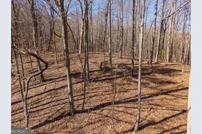 1110 Mayfield Lane, Ranger, GA 30734 - Photo 11