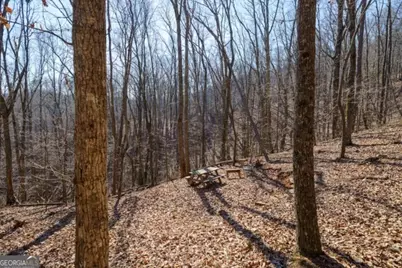 1110 Mayfield Lane, Ranger, GA 30734 - Photo 7