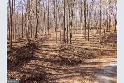 1110 Mayfield Lane, Ranger, GA 30734 - Photo 1