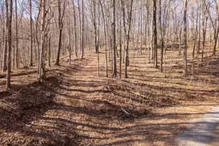 1110 Mayfield Ln, Ranger, GA 30734 - Photo 1