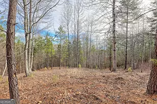 39 Barefoot Trail, Blairsville, GA 30512 - Photo 63