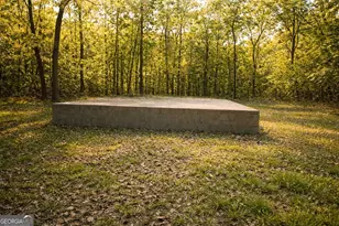 103 Coffee Bluff Villa Rd, Savannah, GA 31419 - Photo 1