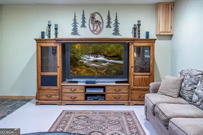 477 Bootlegger Road, Morganton, GA 30560 - Photo 17