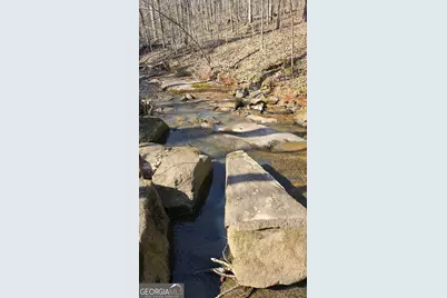 0 Old Zebulon Road, Zebulon, GA 30295 - Photo 5