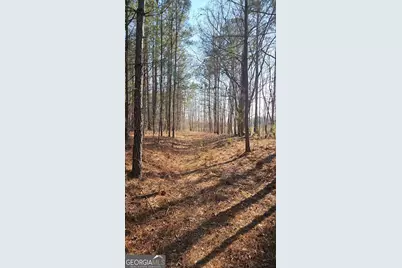 0 Old Zebulon Road, Zebulon, GA 30295 - Photo 3