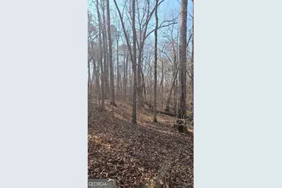 0 Old Zebulon Road, Zebulon, GA 30295 - Photo 15