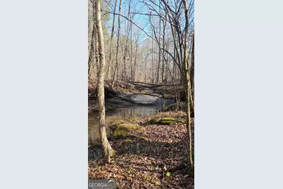 0 Old Zebulon Road, Zebulon, GA 30295 - Photo 19