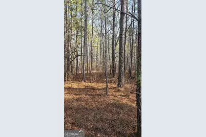 0 Old Zebulon Road, Zebulon, GA 30295 - Photo 13