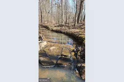 0 Old Zebulon Road, Zebulon, GA 30295 - Photo 7