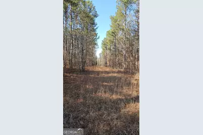 0 Old Zebulon Road, Zebulon, GA 30295 - Photo 9