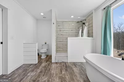 3159 Vineyards Creek Church Road, Comer, GA 30629 - Photo 33