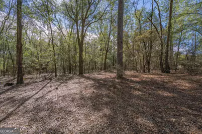 164 Holly Drive, Eden, GA 31307 - Photo 11