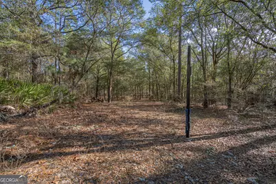 164 Holly Drive, Eden, GA 31307 - Photo 9