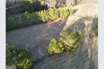 0 Black Snake Road, Arnoldsville, GA 30619 - Photo 5