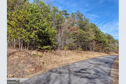 41 Hidden Fields Road, Hiawassee, GA 30546 - Photo 3